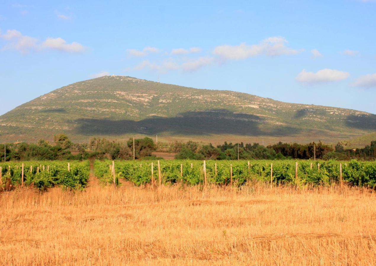 Agriturismo Da Pina Villa Porto Conte Eksteriør bilde